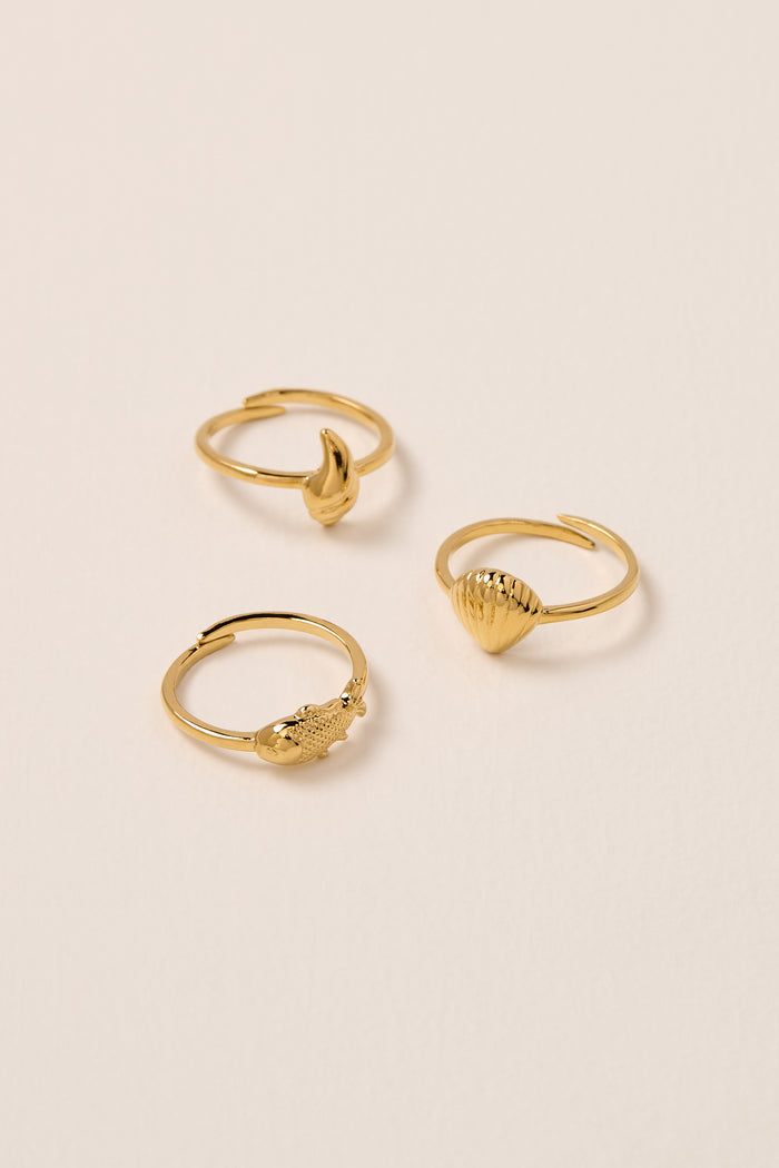 BAGUES-COQUILLAGES-OR-WOMANCE