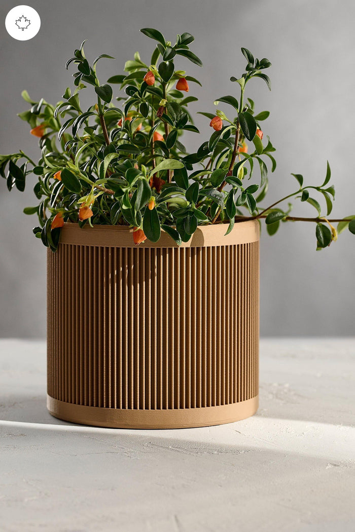 6" Flower Pot - "Le Ligné"
