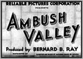 AMBUSH VALLEY - 1936 - BOB CUSTER - RARE DVD