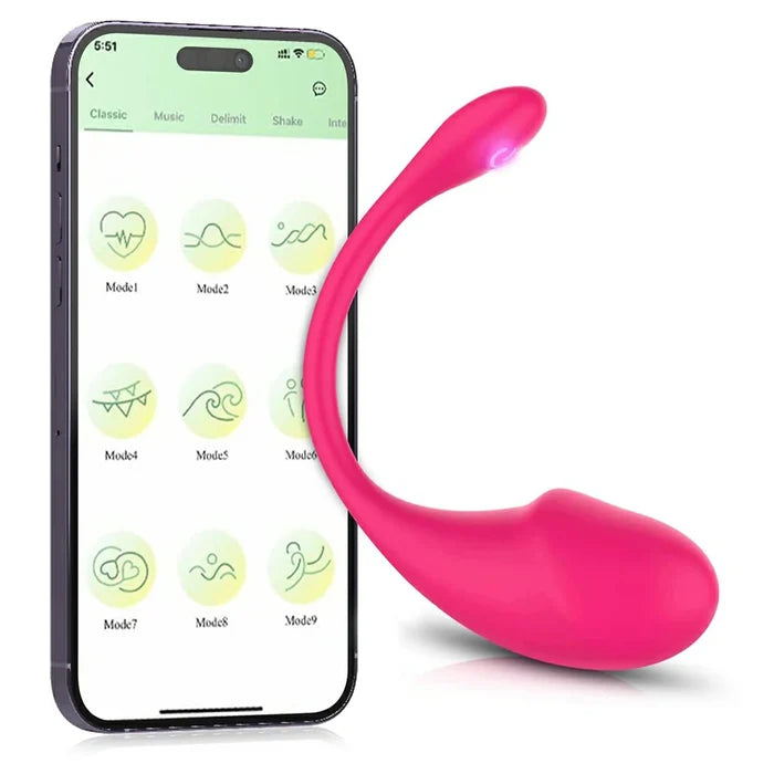 APP Remote Control Long Distance Bluetooth Wearable Panty Couple G-spot Vibrator