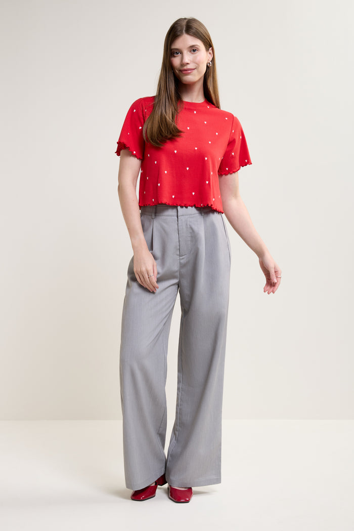 Cropped Embroidered T-Shirt - 9099