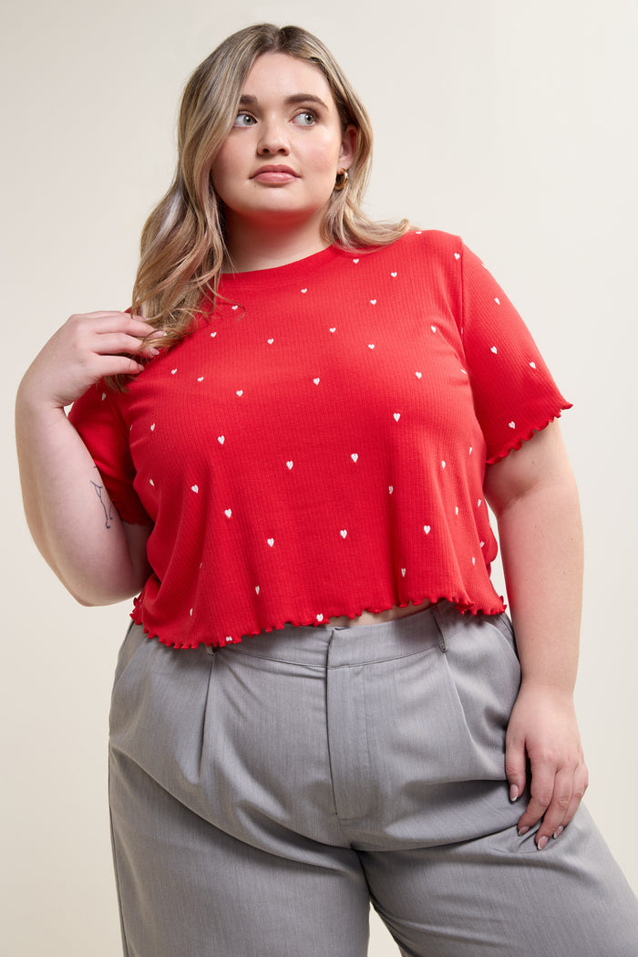 Cropped Embroidered T-Shirt - 9099