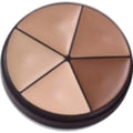 Derma-pro quick fix palette used in funeral service operations, from lynch supply