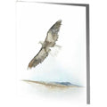 Eagle soaring by arthur short bull service folder used in funeral service operations, from lynch supply