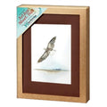 Eagle soaring native american gift box set used in funeral service operations, from lynch supply