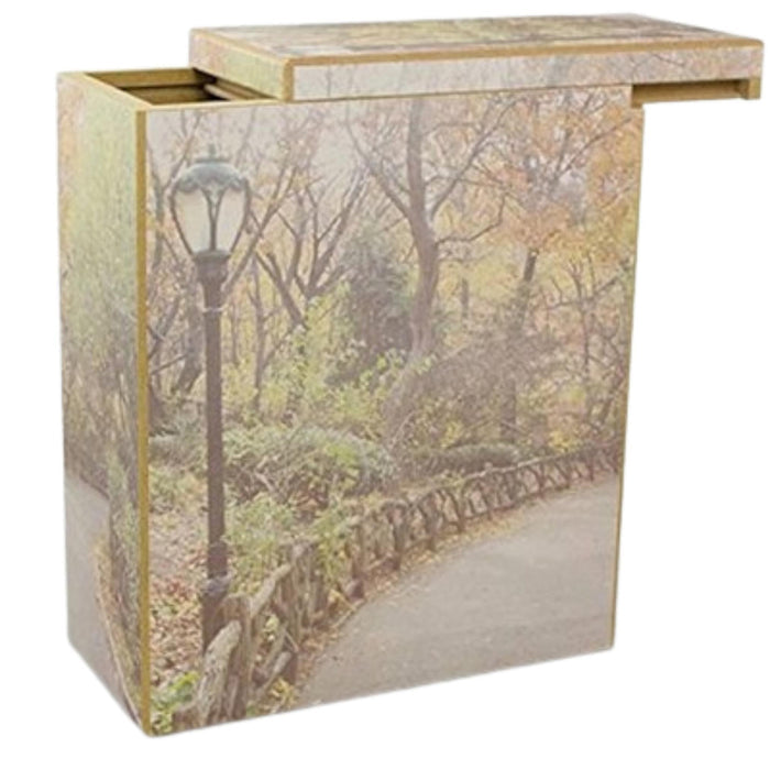 ECONOMY SCATTERING URNS