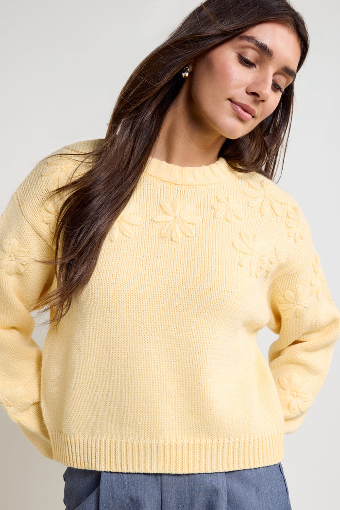 Embroidered Knit Sweater - 8175