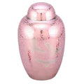 Going home cremation urn - pink cremation supplies and equipment product