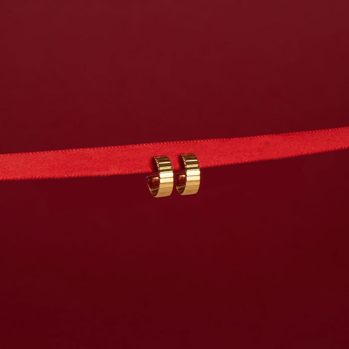 Flatlay Model. A close-up flatlay shot of two gold hoop earrings.