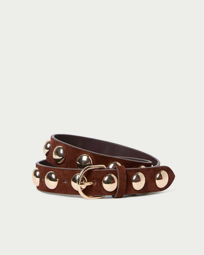 Issa Espresso/Champagne Studded Belt in espresso leather with champagne accent studs.
