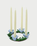 Color: Green/Blue
