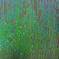 Green Iridescent / Black