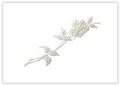 Pearlized rose acknowledgement cards used in funeral service operations, from lynch supply