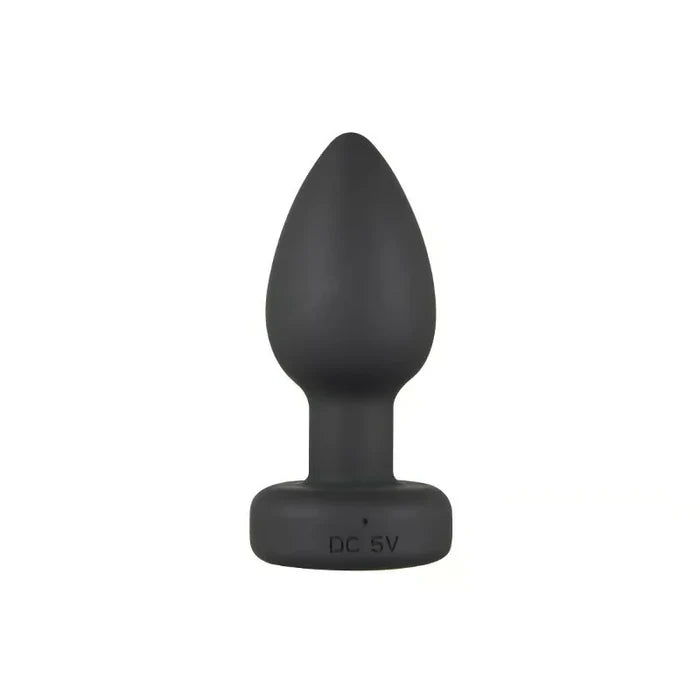 Rainbow -  Flashing Light Base Vibrating Training Anal Plug with Remote Control