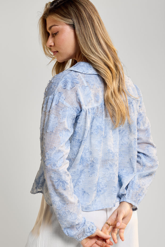 Sheer Blouse - 4096