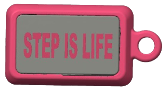 A pink rectangular keychain or tag with a gray front panel and the words 'STEP IS LIFE' printed in pink, shown on a plain white background.