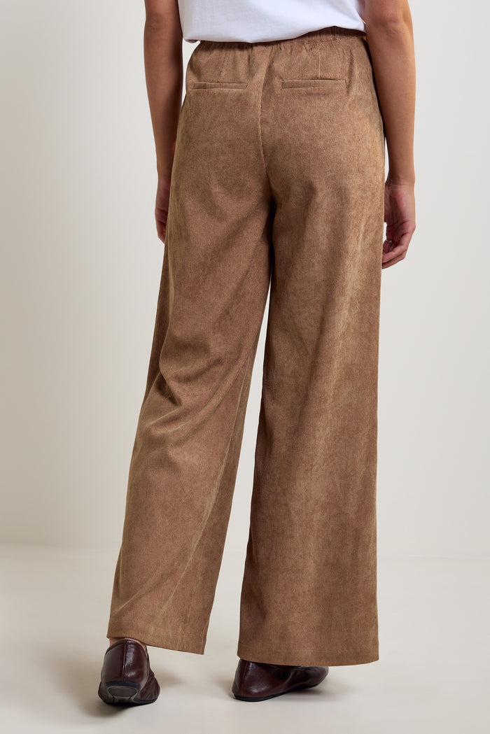 Suede-Effect Corduroy Pants - 5144
