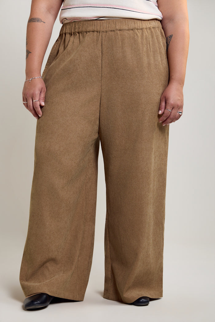 Suede-Effect Corduroy Pants - 5144