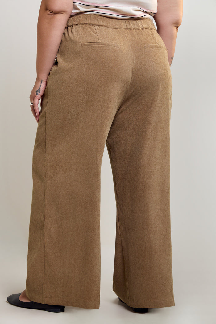 Suede-Effect Corduroy Pants - 5144